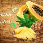 преимущества пищеварительных ферментов