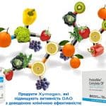 производство DAO