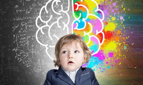 Развитие мозга у ребенка